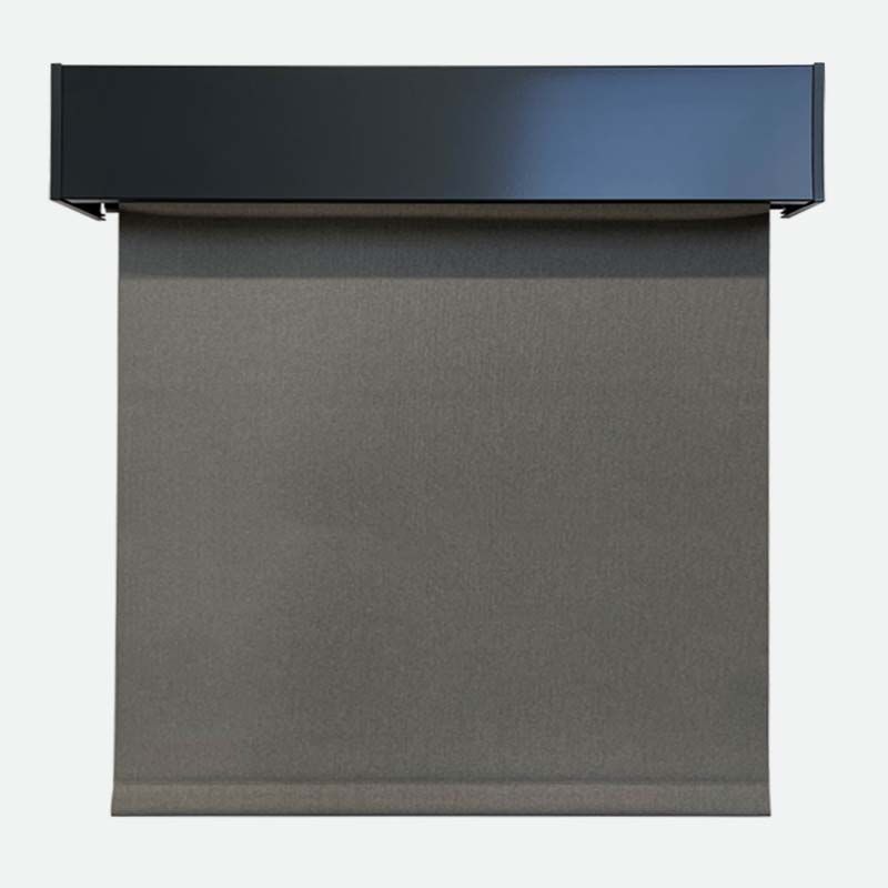 MSX II Dual™ Roller Shade